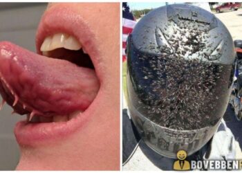 15 felvétel, mely még a legnyugodtabb embereknél is kiveri a biztosítékot