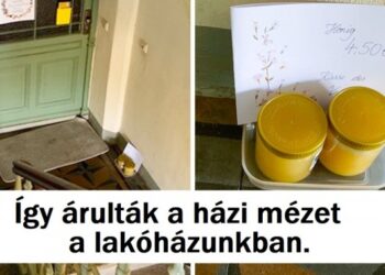 7 alkalommal látogattam el Németországba, és itt van 8 furcsa tény, amit megtanultam