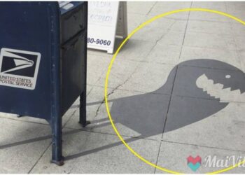 19 zseniális utcai fotó, amelyek téged is megmosolyogtatnak