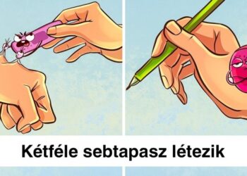 13 Murphy-féle törvényszerűség, amely az esetek 98%-ára igaz