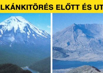 21 kép, amely bebizonyítja, hogy az életben minden csak összehasonlítás kérdése