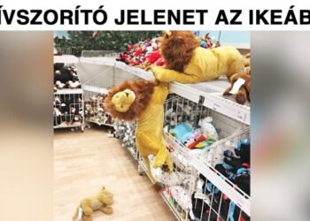 21 véletlen pillanat, amely igazolja, hogy a mindennapokban több a dráma, mint a 90-es évek sorozataiban