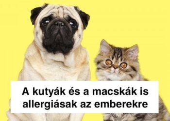 15 meglepő tény, mely új oldalról mutatja be az állatok világát