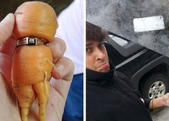 20 alkalom, mikor a régóta elveszettnek hitt dolgok csodával határos módon előkerültek