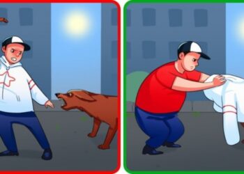 16 dolog, amelyet jobb ha tudsz, amennyiben megtámad egy kutya