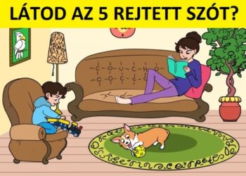 Teszt: Meg tudod találni azt az 5 szót, amelyet a képen rejtettünk el?