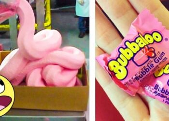 18 izgalmas tény a kedvenc ételeinkről, amelyektől szó szerint az agyad eldobod