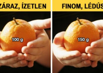 8 dolog, amelyet pillanatok alatt megtanulhatsz és igazán hasznos lesz