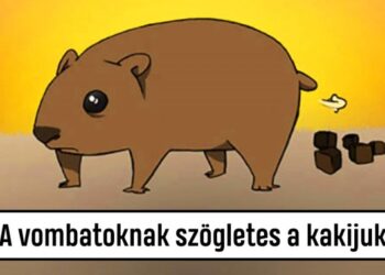 20 őrületes tudnivaló állatokról, mellyel még a tankönyvekben sem találkozhattunk