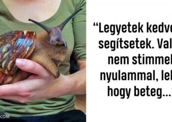 20 személy, akinek a humorérzéke szinte felér egy szíven döféssel