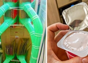 30 felvétel, ami kielégítőbb, mint a buborékfólia pattogtatás
