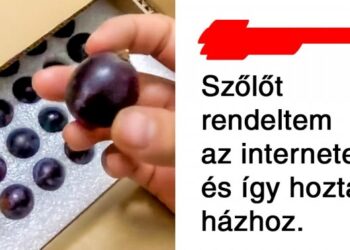 21 különös csomagolás olyan gyártóktól, akik szemmel láthatóan nem törődnek a környezetvédelemmel