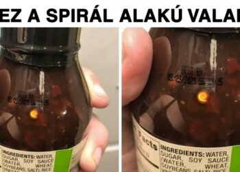 20 alkalom, mikor az emberek szokatlan dologra bukkantak és az internethez fordultak segítségért