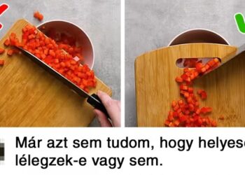 20 személy, akinek a felfedezése saját Wikipédia oldalt érdemelne