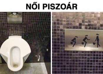 19 szokatlan tény Svájcról, amit egy útikönyvben sem fogsz megtalálni