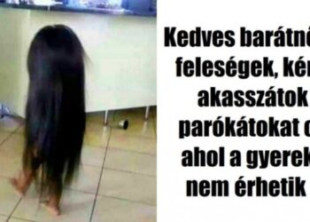 14 életszerű fénykép, mely igazolja, hogy a gyerekvállalás nem való bátortalan embereknek