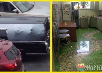 21 fénykép, amely igazolja, hogy az embereknél nincs kreatívabb lény a világon.