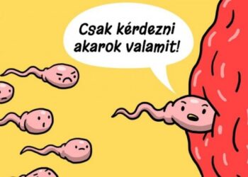 15 rajz, amely tökéletesen bemutatja, hogy a szerveink ugyanolyan problémákkal küzdenek, mint mi