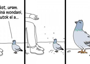 14 rajz, amely bemutatja, hogy milyen lenne a világ, hogyha a madarak beszélnének