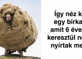 21 ritka felvétel, amelyet legalább egyszer az életben neked is látnod kell