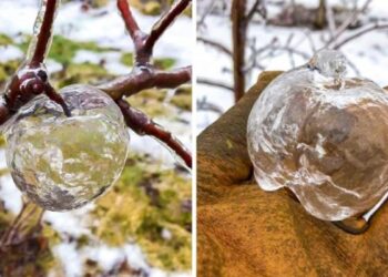 18 kivételesen ritka pillanat, amelyet végre sikerült valakinek megörökítenie