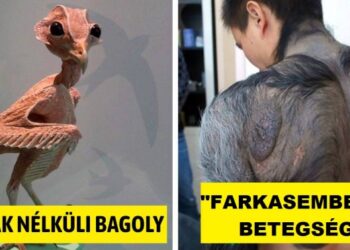 20 ritka látványosság, ami után máshogy fogsz tekinteni a nagyvilágra