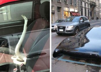 20 bámulatos pillanat, amellyel vezetés közben találkoztak az autósok