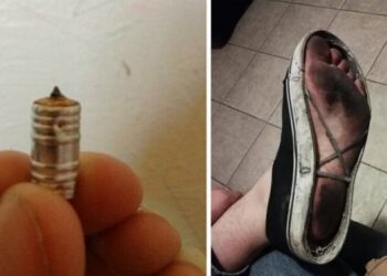 17 személy, aki szemmel láthatóan ‘spórolásból’ szerezte a diplomáját