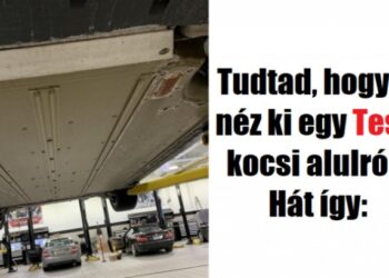 18 kép, amelyen valami olyan dolgot láthatsz, mint ezelőtt soha