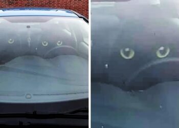 15 tervező, aki joggal mondhatja magáról, hogy “egy átkozott lángelme vagyok!”