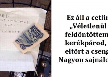 20 alkalom, mikor a japánok totálisan meghódították a szívünket