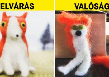 20 alkalom, mikor az elvárás és a valóság még véletlenül sem találkozott egymással
