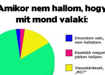 14 kegyetlenül őszinte kördiagram, amibe hogyha akarnál, sem tudnál belekötni