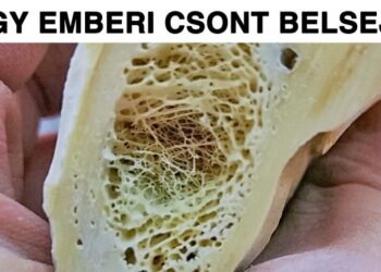 19 felvétel, amely felfedi a szokásos dolgok szokatlan belsejét