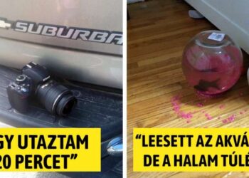 18 személy, akiknek ez volt életük legszerencsésebb napja