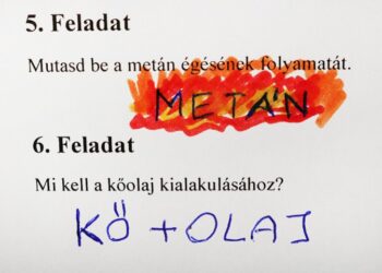 14 gyermek, aki szemérmetlenül kicselezte az oktatási rendszert