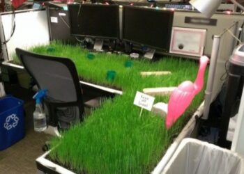 20 fénykép, ami alátámasztja, hogy nem is olyan uncsi az élet a munkahelyen, ha jó a társaság