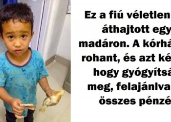 23 fotó, ami igazolja, hogy nincsen szükségünk indokra ahhoz, hogy a világ egy jobb hely legyen