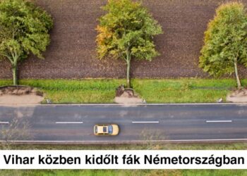 30 lebilincselő fénykép, amelyhez már nem volt szükség Photoshopra