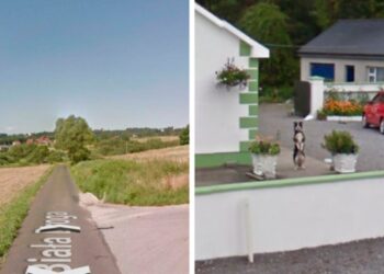 23 tréfás fénykép állatokról, amiket a Google kamerája véletlenül rögzített