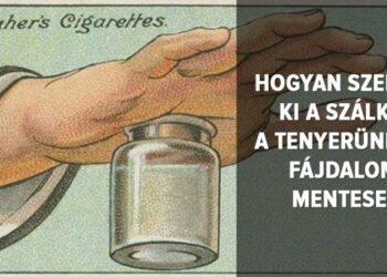 21 trükkös házi praktika a múlt század elejéről, amely mind a mai napig meglepően jól működik