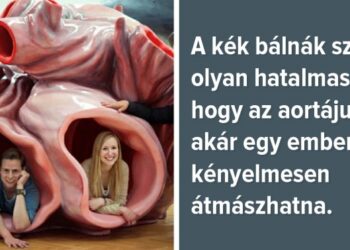18 érdekes tény a világról, amely után Te is más szemmel nézel majd mindent