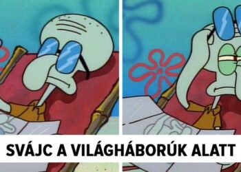 21 röhejes mém, amelyet csak a tanult, történelemben jártas emberek értenek