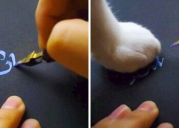 22 ember, aki bemutatja nekünk, milyen egy igazi szörnyeteggel együtt élni