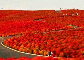 35 fantasztikus hely a Földön, amelyet legalább egyszer látnod kell az életben