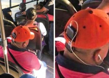 21 fénykép, ami bebizonyította, hogy a lustaság fél egészség