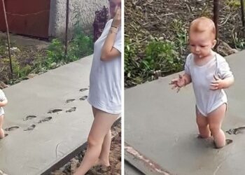 15+ fénykép gyerekekről, akiknek a szülei nem tudják, hogy nevessenek vagy sírjanak