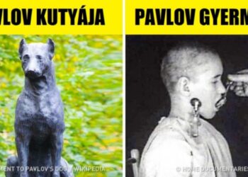 8 gyerekkísérlet, melyek óriási felháborodást keltettek