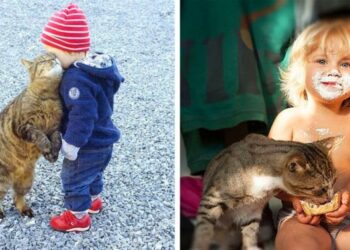 20 nyomós bizonyíték, amiért minden gyermeknek szüksége lenne egy cicára