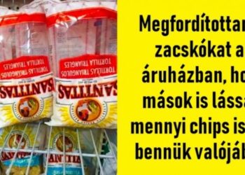 22 bátor személy, aki végre fellázadt a rendszer ellen